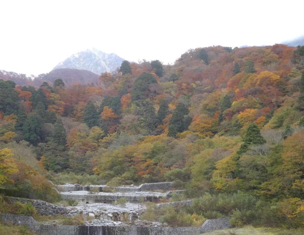 74-2_daisen-koyou