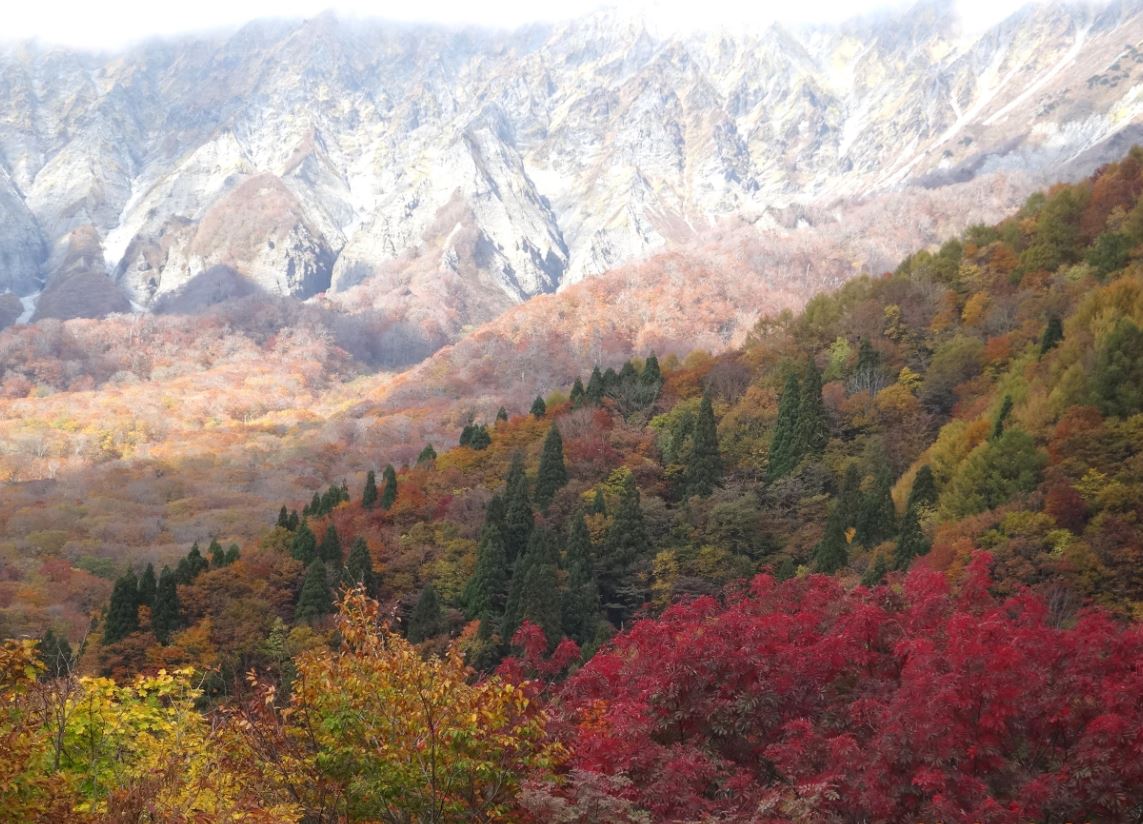 74-8_daisen-koyou