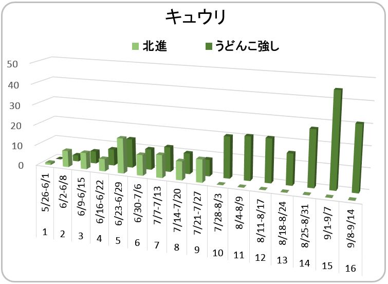 171-2_kyuri