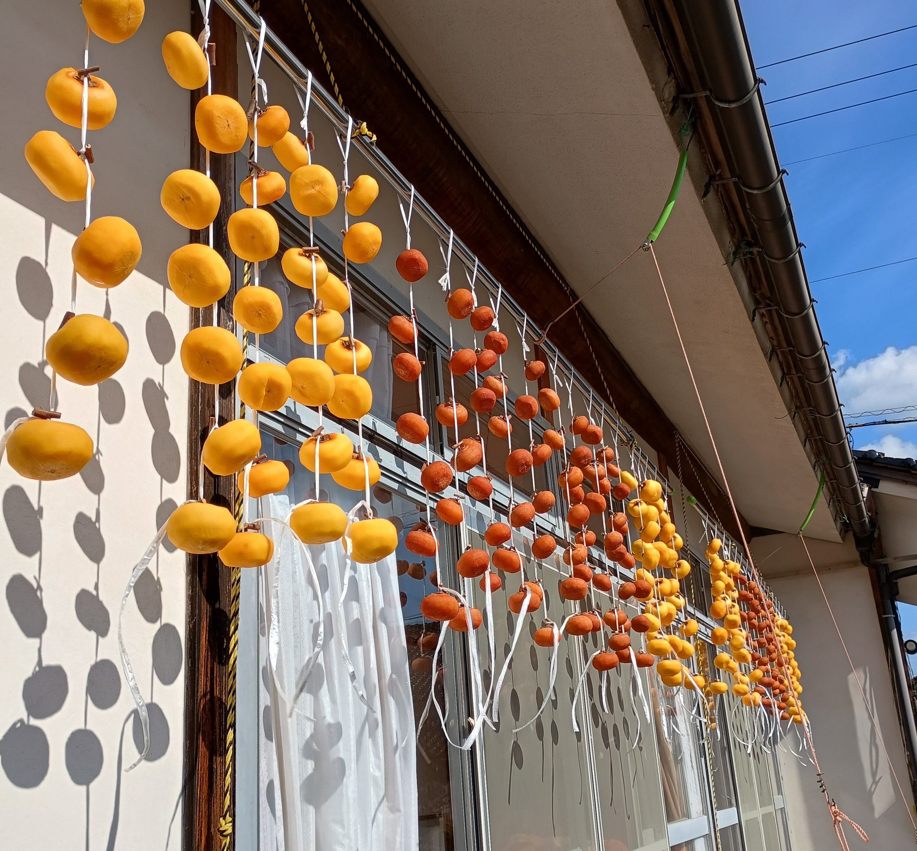 803-1_hoshigaki_20251107