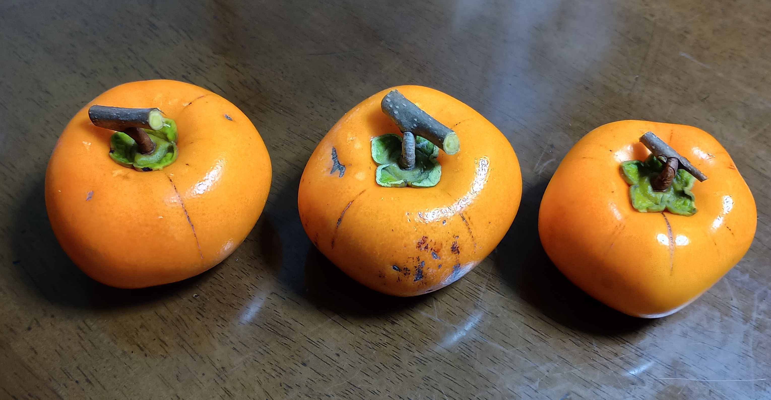 804-2_kaki-ikei_202511107