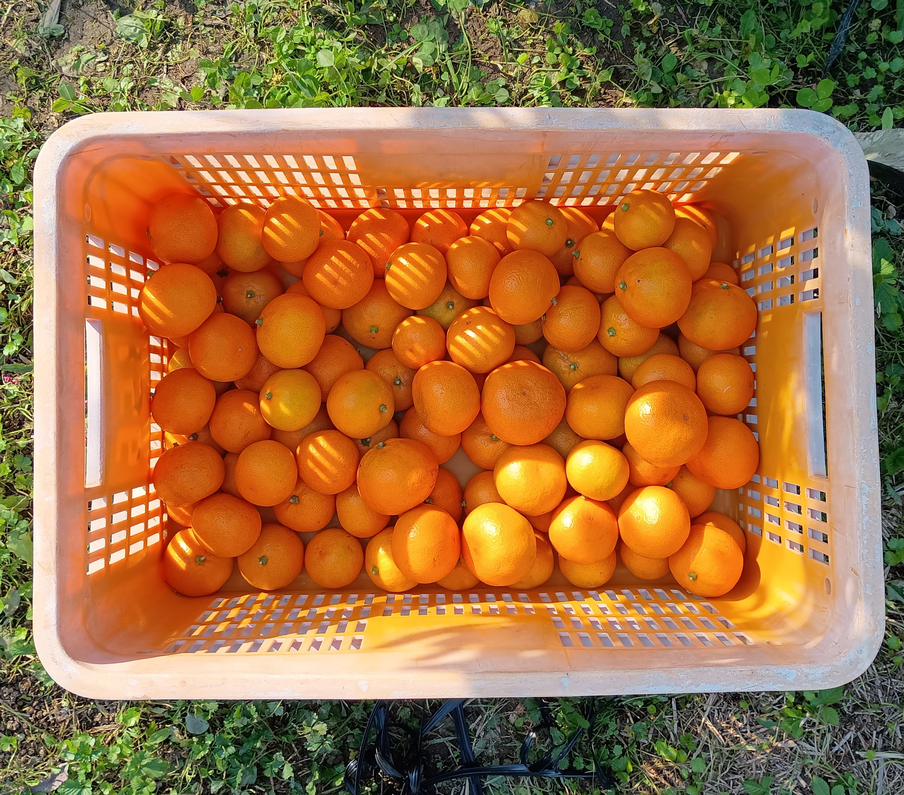 806-2_unshoumikann_202511144