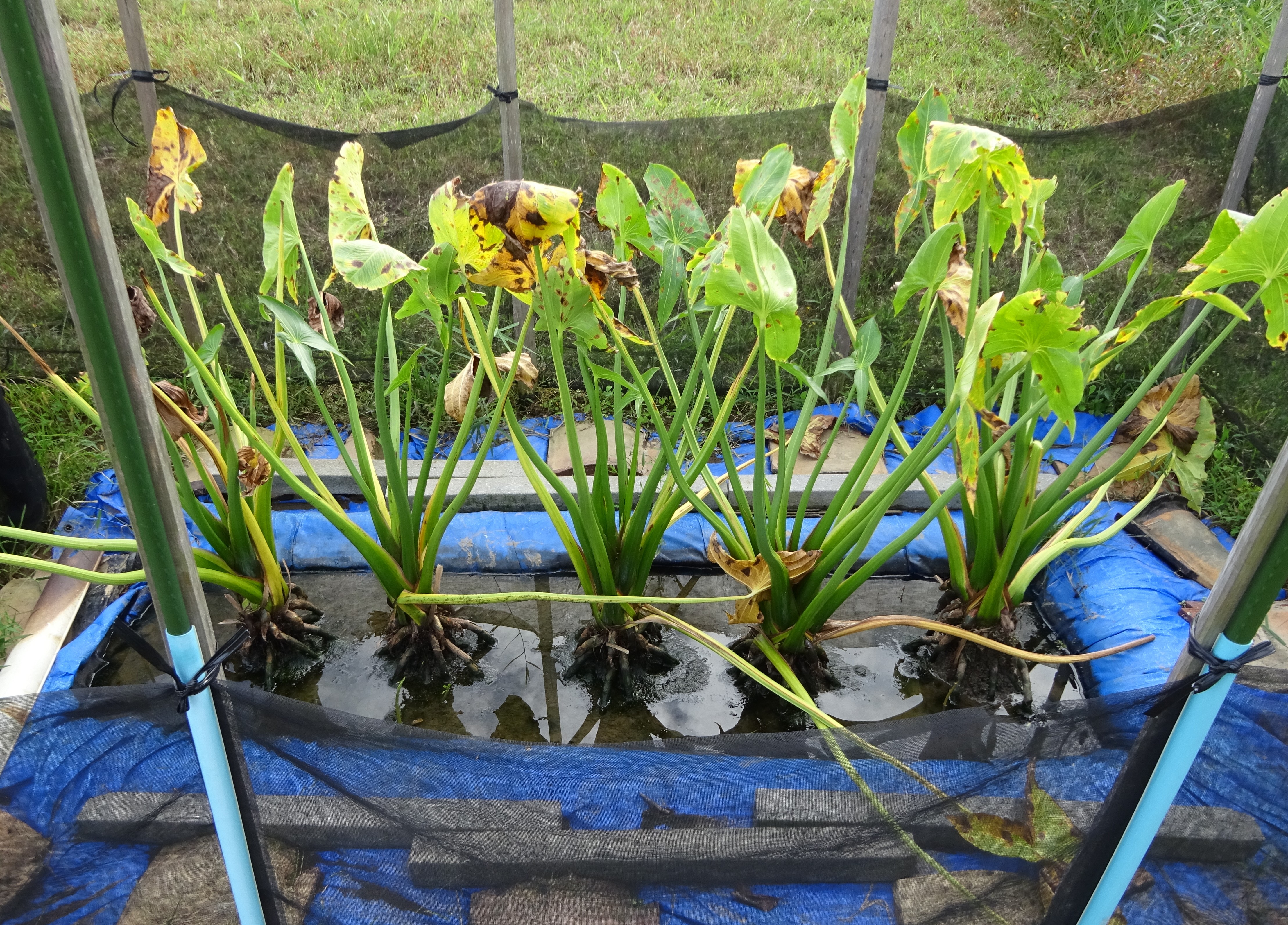 807-1_kuwai_20251026