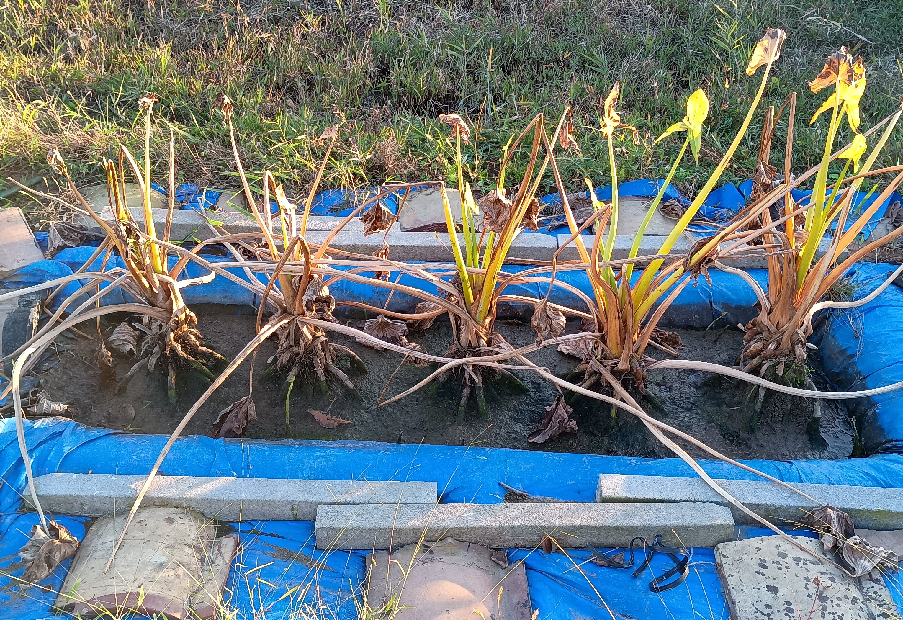 807-2_kuwai-20251122