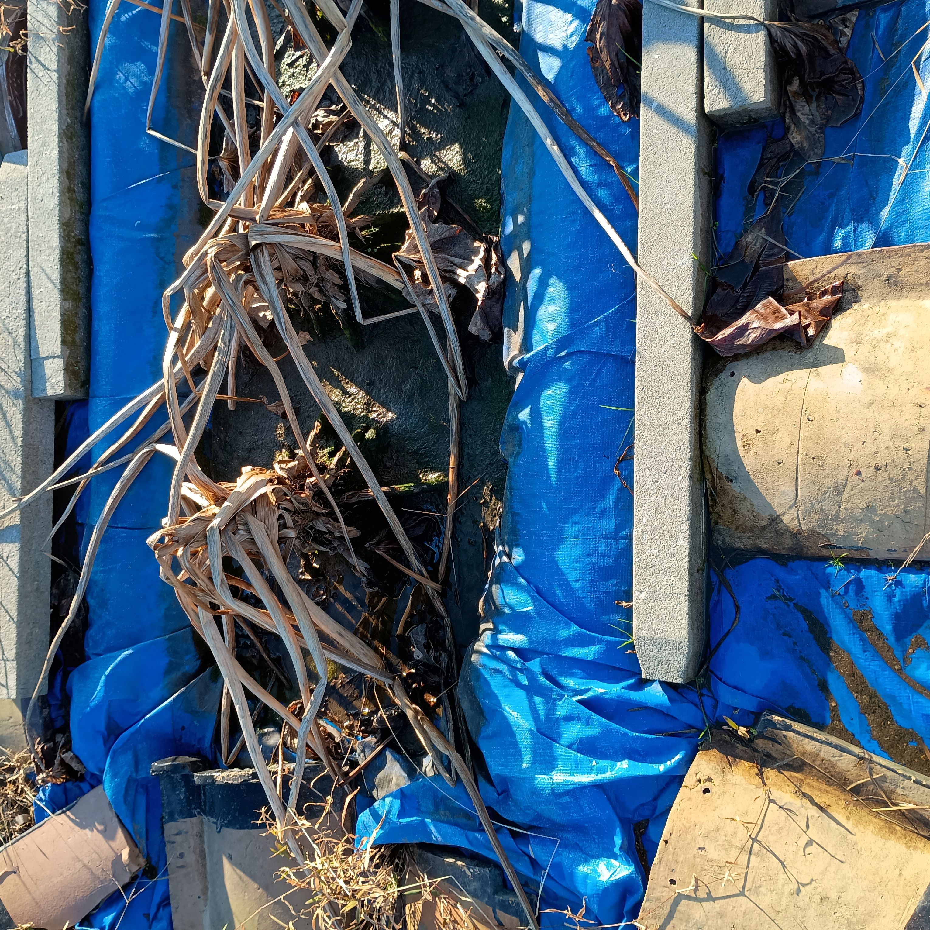 814-1_kuwai_20251218