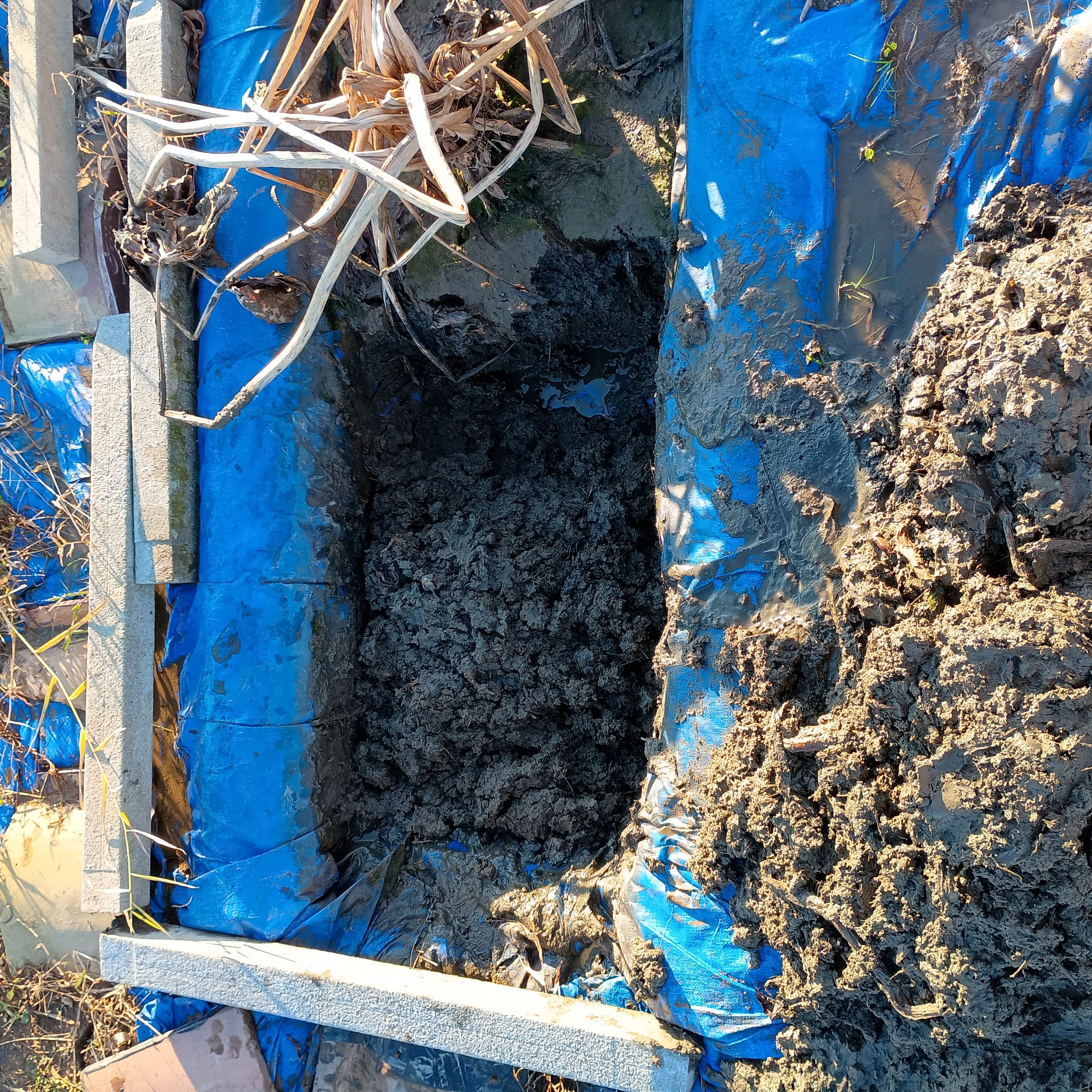 814-2_kuwai_20251218