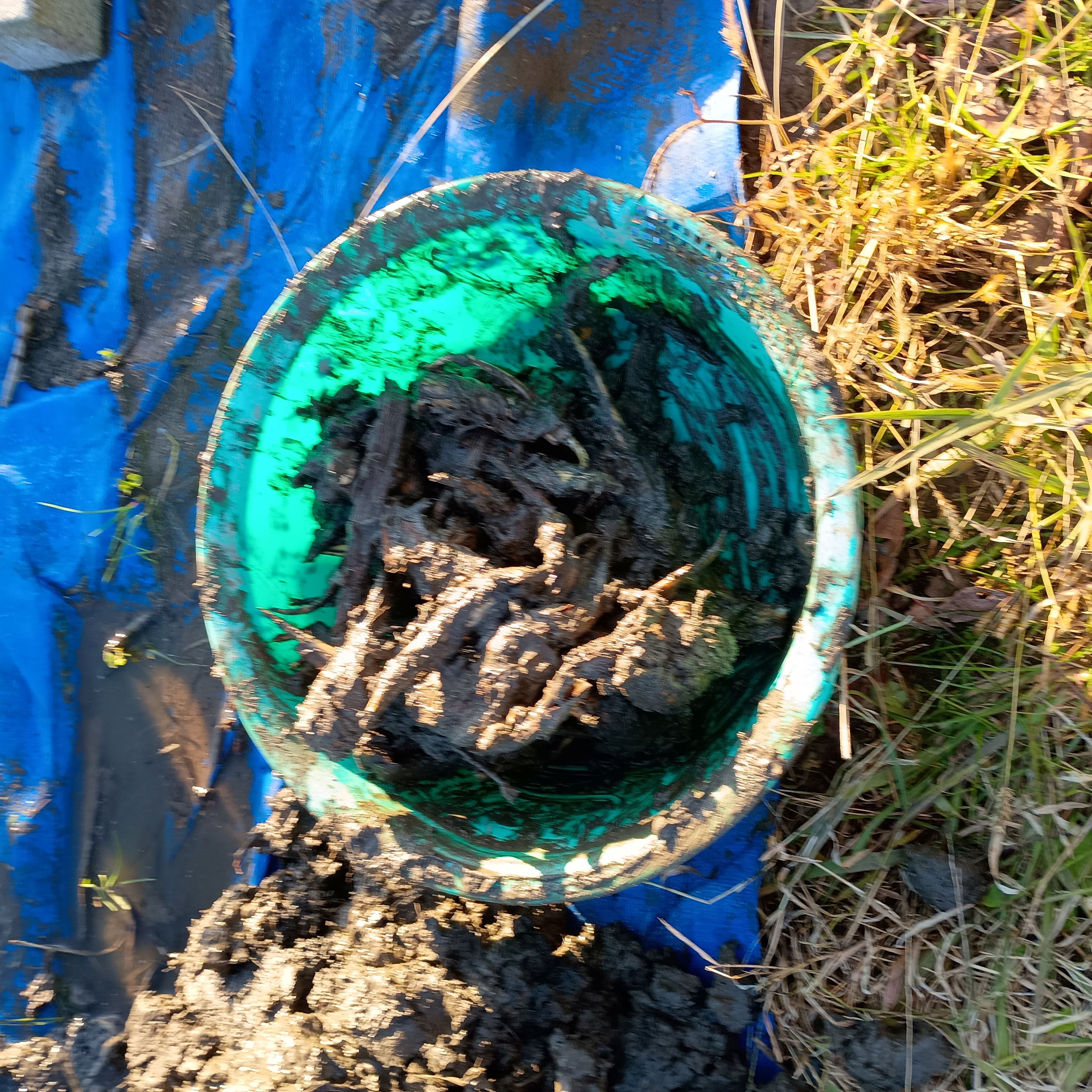 814-3_kuwai_20251218