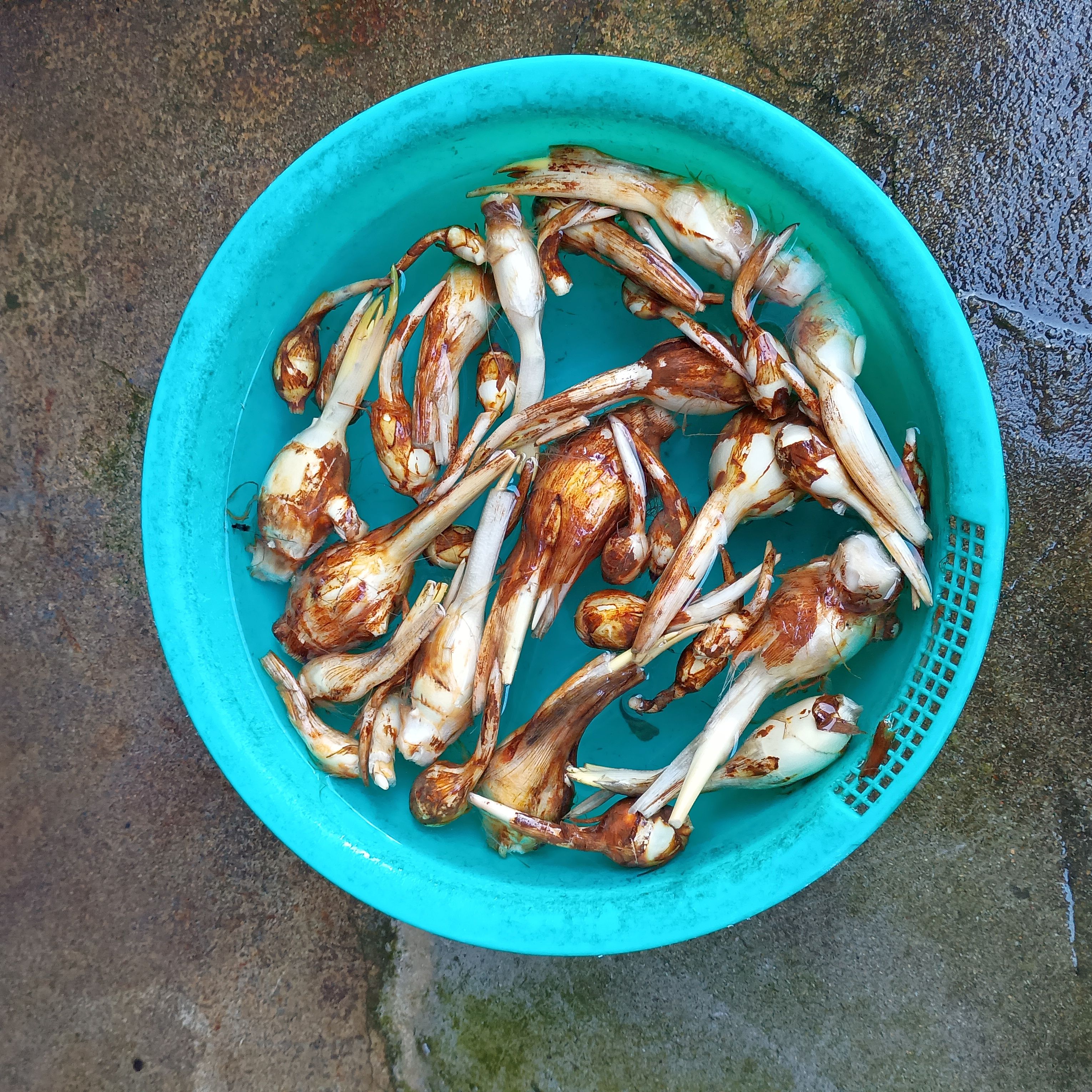 814-4_kuwai_20251218