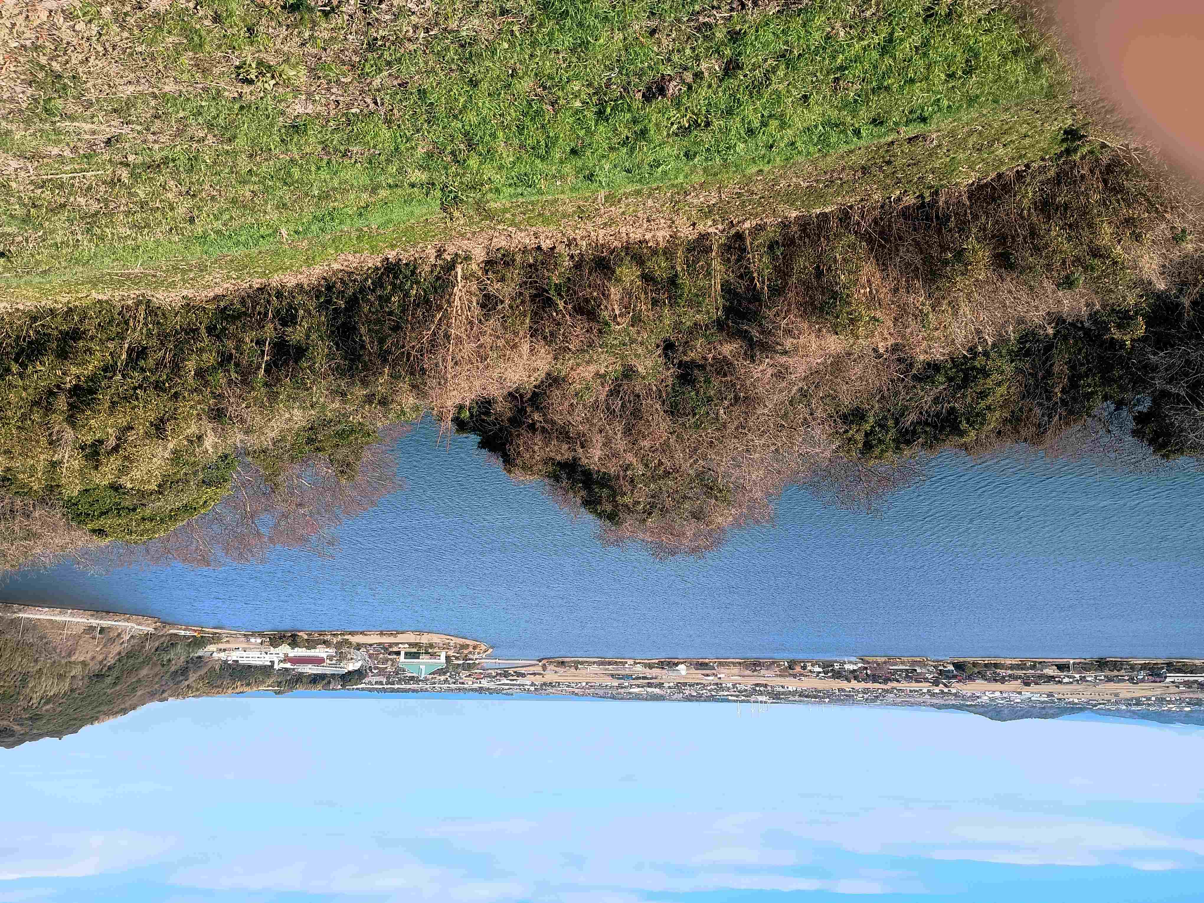 month-photos_tougouko-2_2026010