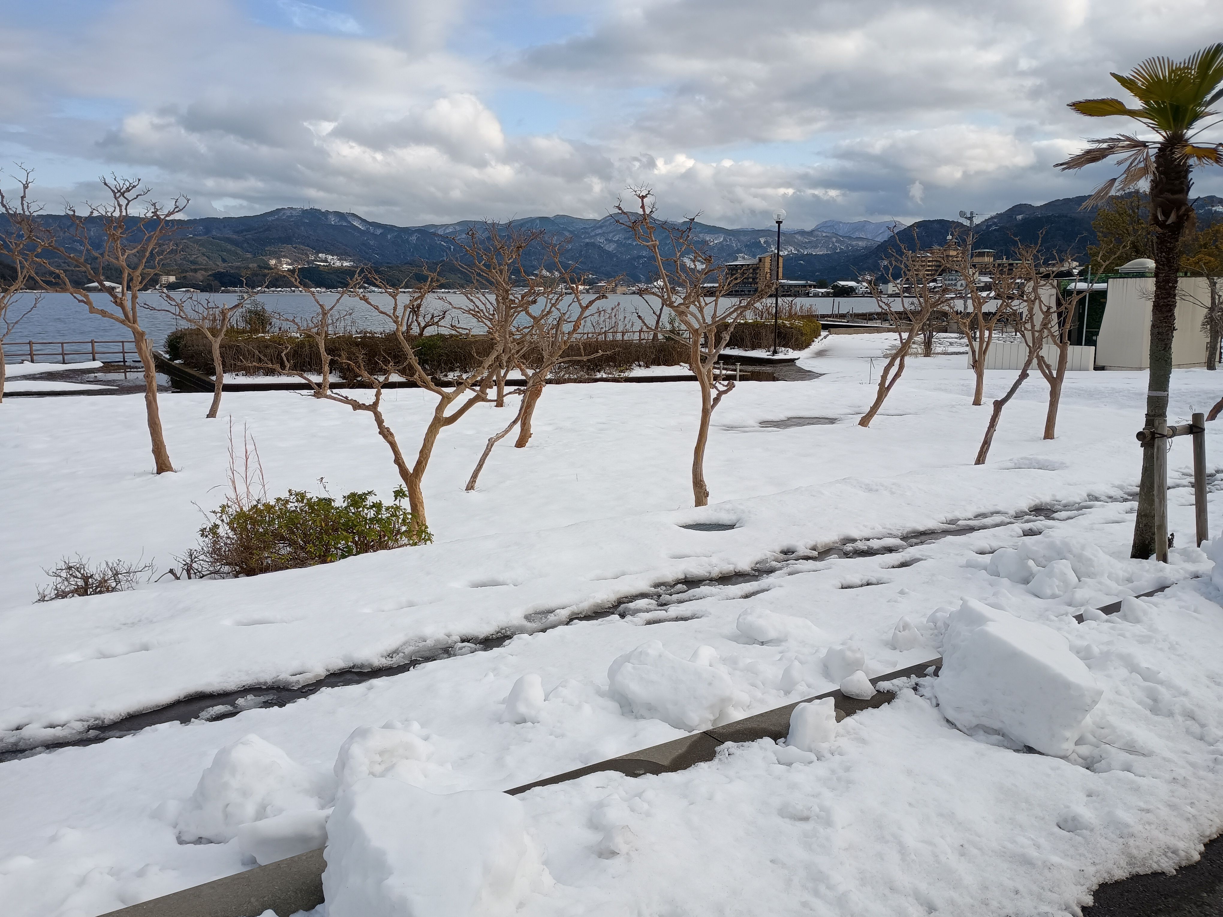 month-photos_tougouko_20260126