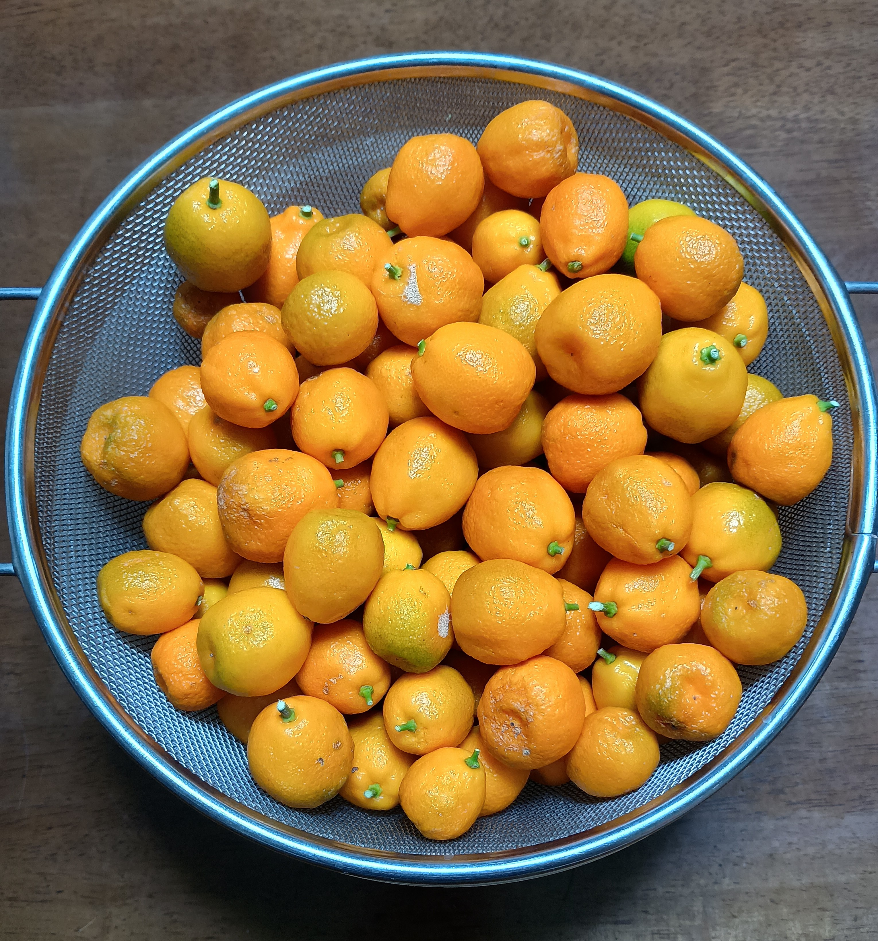 823-4_kinkan_20260117