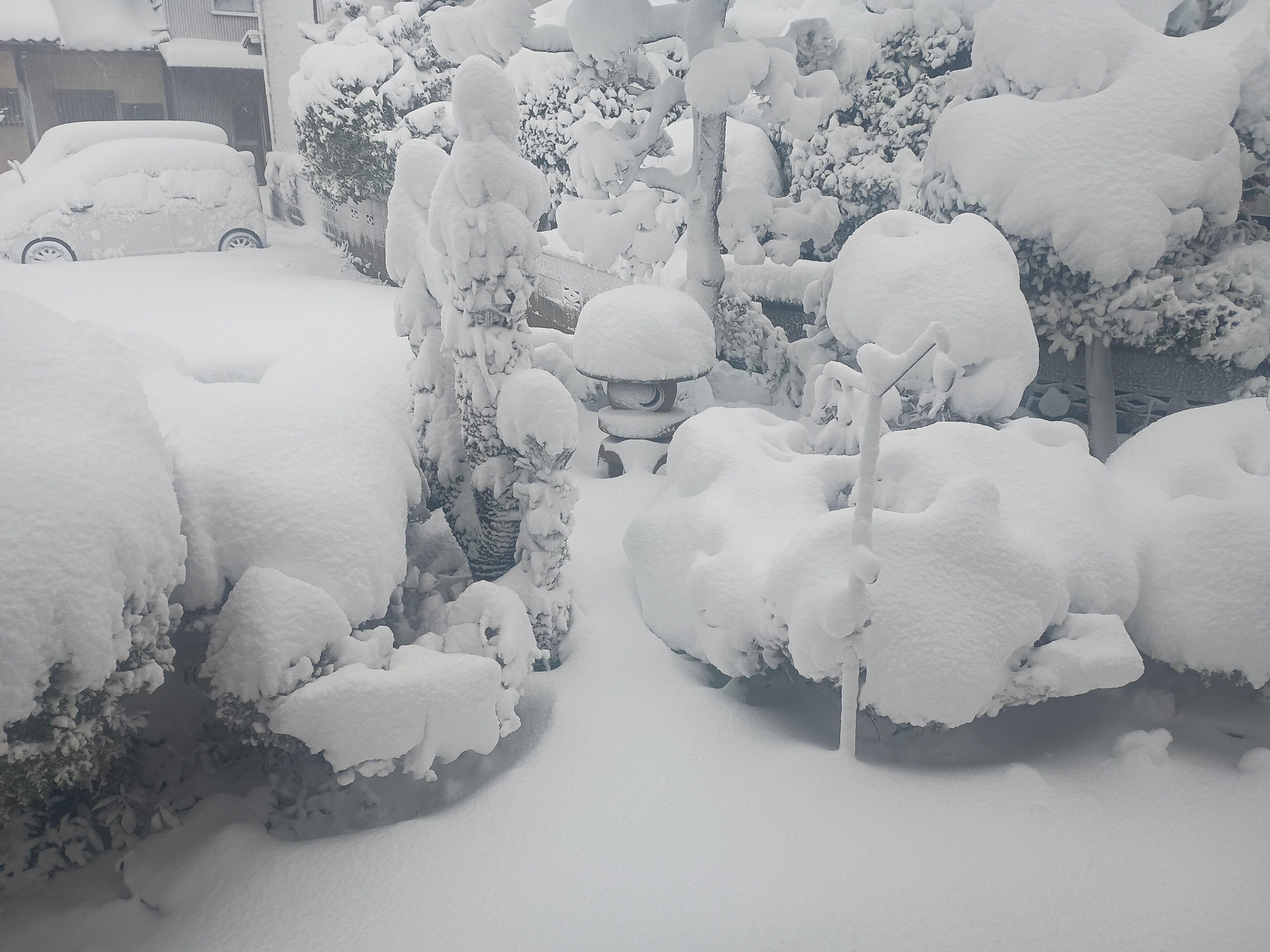 829-1_ooyuki_20260208